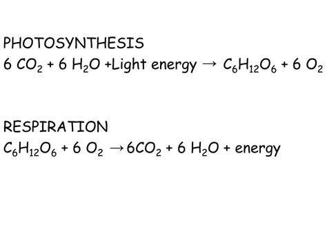 6 co2 + 6 h2o|co2 h2o c6 h12o6.